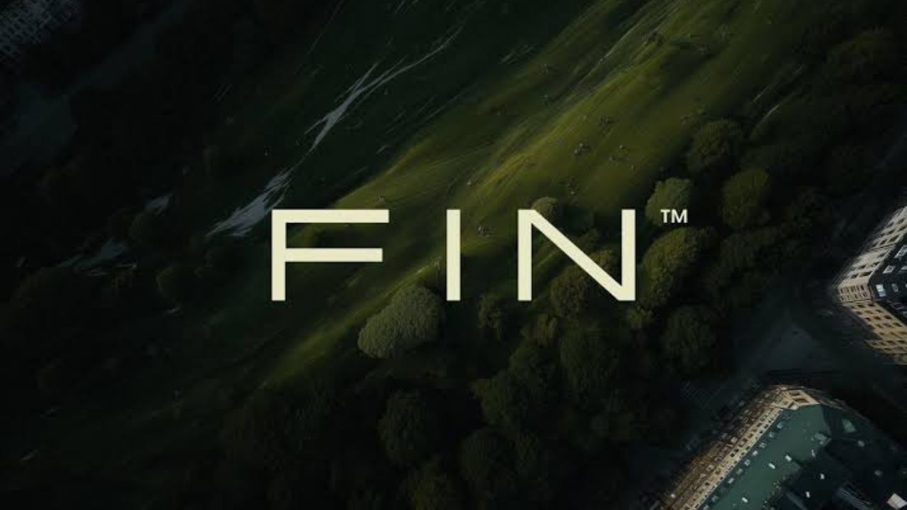 Fin